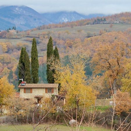 Agriturismo Mandrioli Pratovecchio Kültér fotó