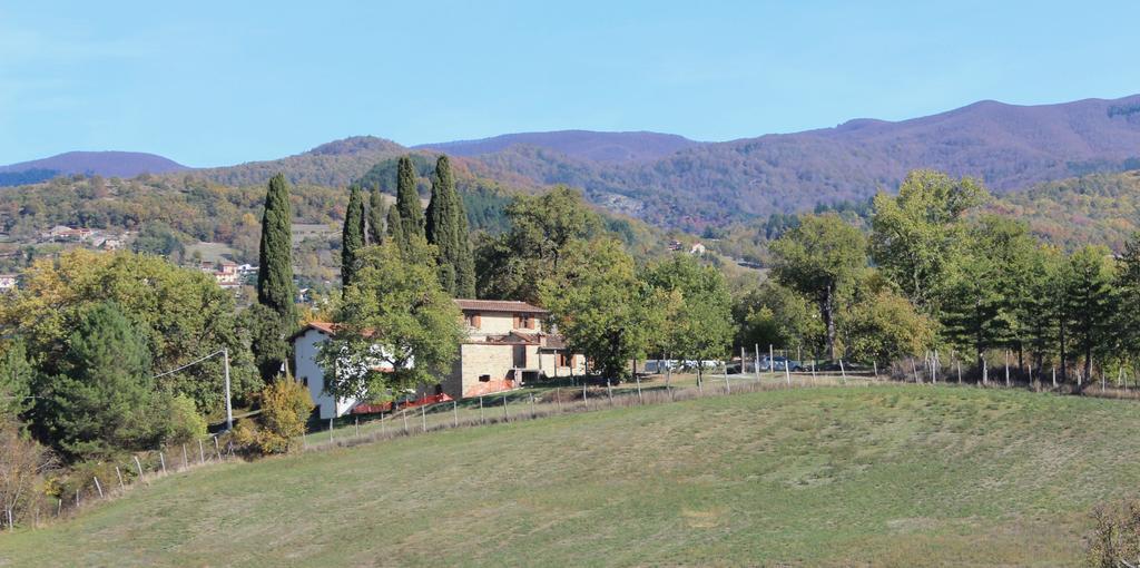 Agriturismo Mandrioli Pratovecchio Kültér fotó