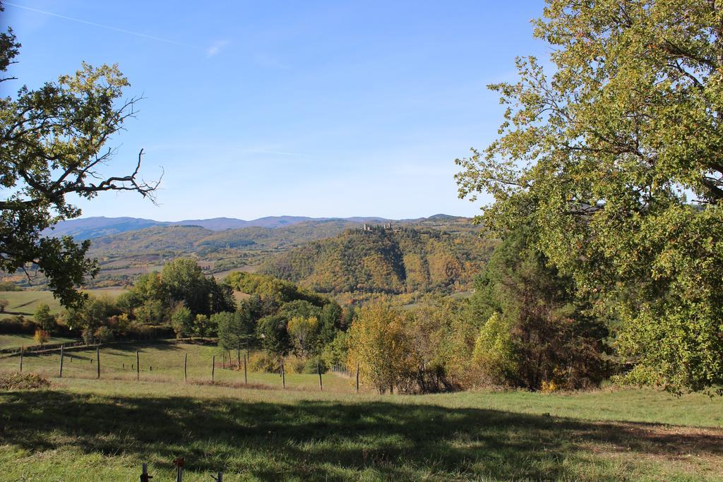 Agriturismo Mandrioli Pratovecchio Kültér fotó