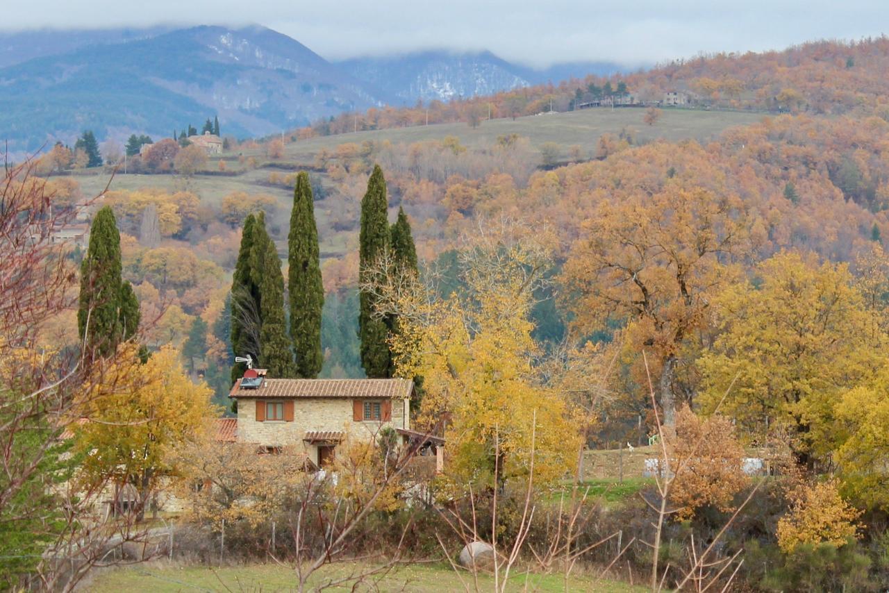 Agriturismo Mandrioli Pratovecchio Kültér fotó